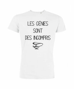 Les Génies Sont Des Incompris