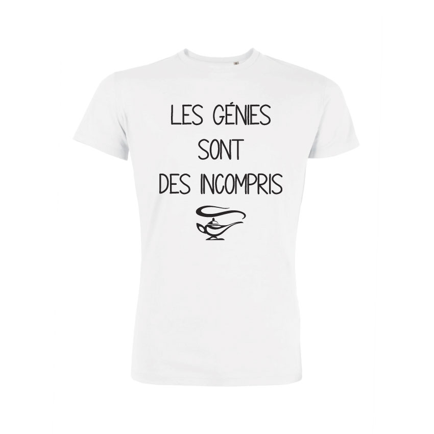 Les Génies Sont Des Incompris
