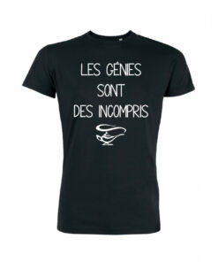 Les Génies Sont Des Incompris