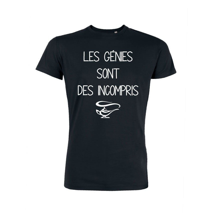 Les Génies Sont Des Incompris