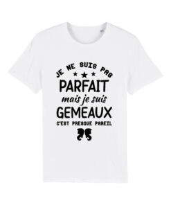Teeshirt Homme - Je Ne Suis Pas Parfait Mais Je Suis Gemeaux