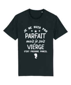Teeshirt Homme - Je Ne Suis Pas Parfait Mais Je Suis Vierge